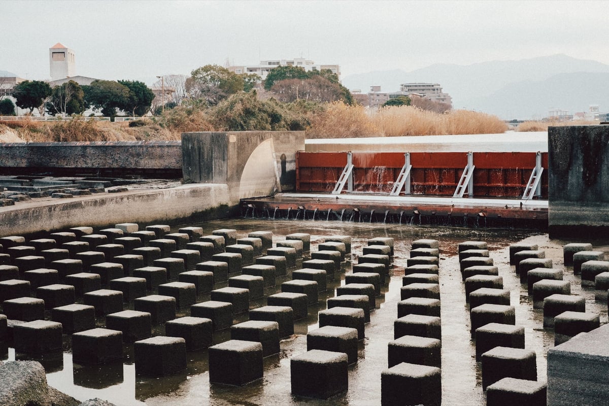 photo with grain applied