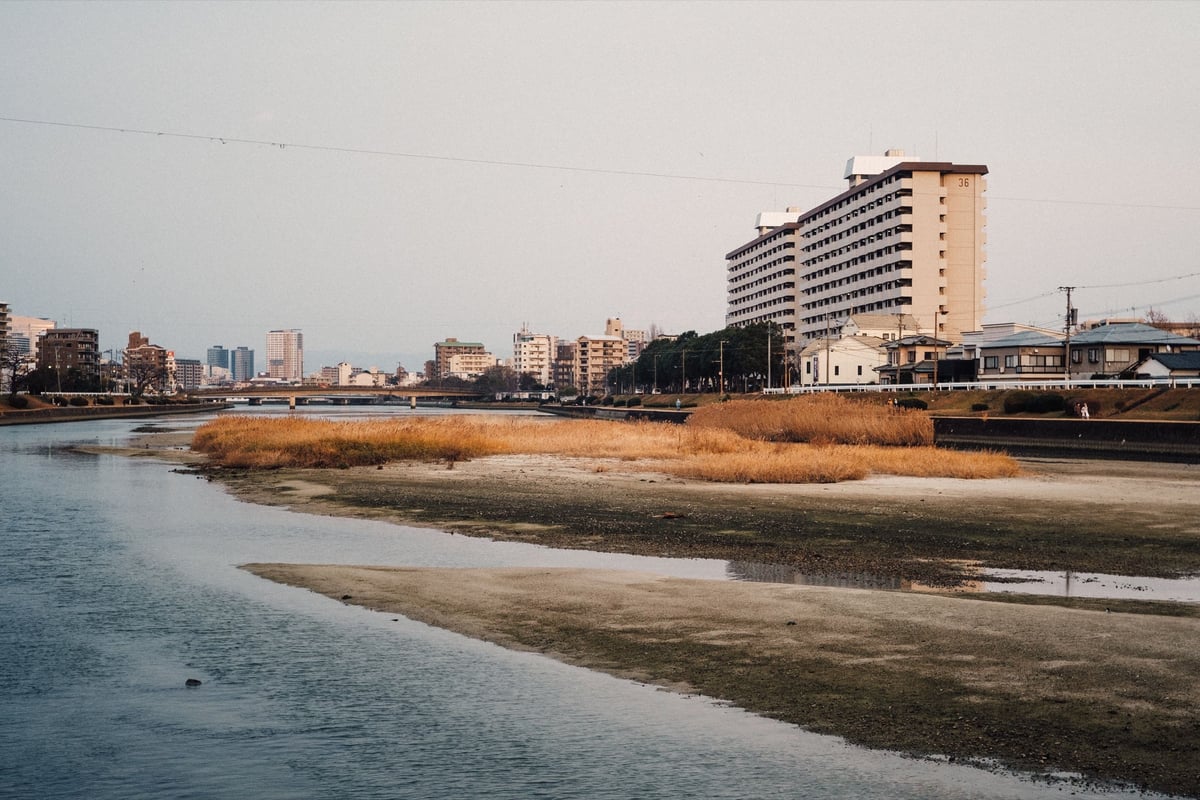 Landscape photo with grain applied