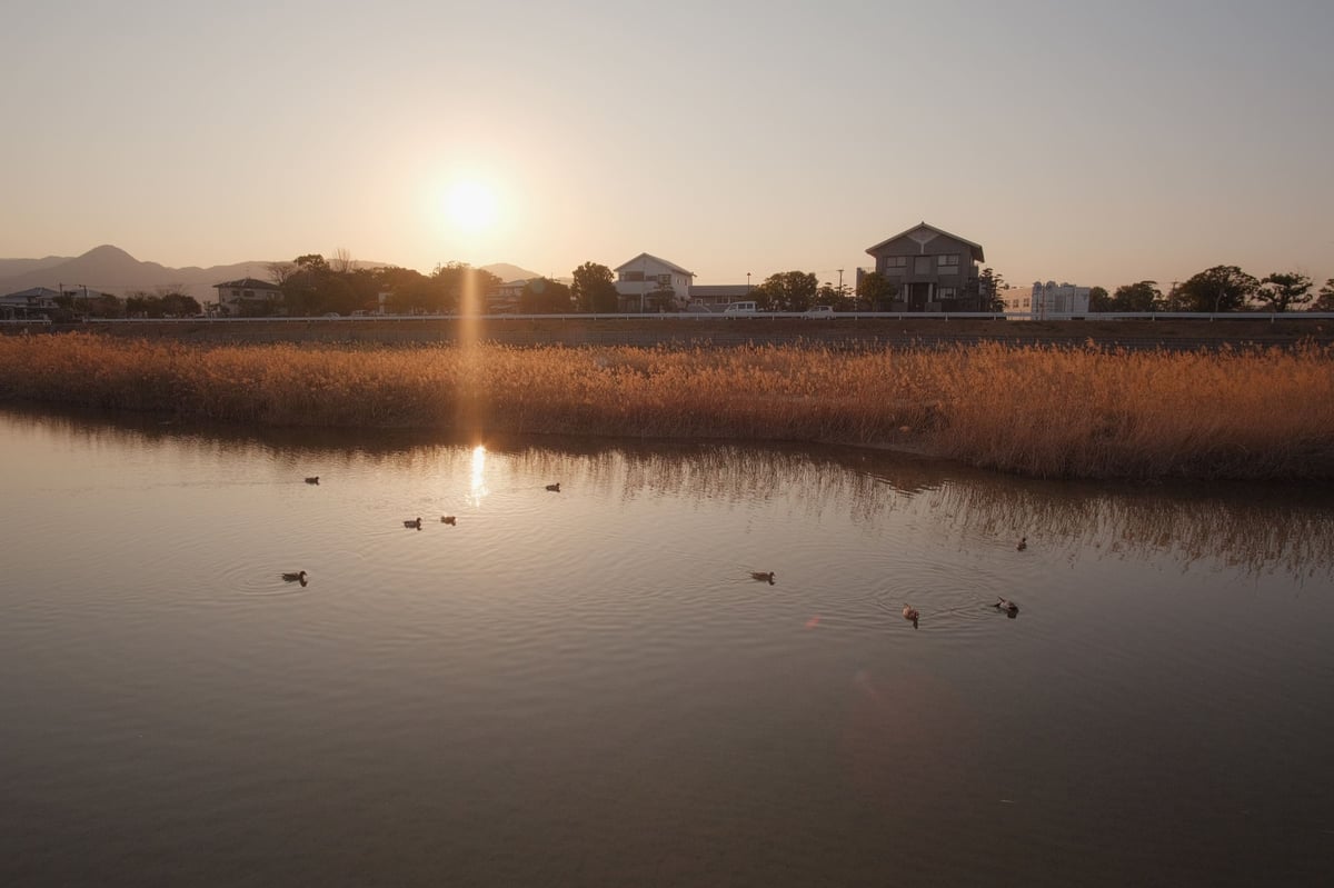 Rokinon 12mm f2 Landscape Photo With Ducks swimming in the water