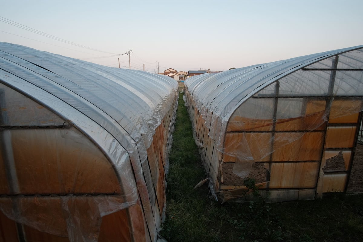 Rokinon 12mm f2 Sample Image