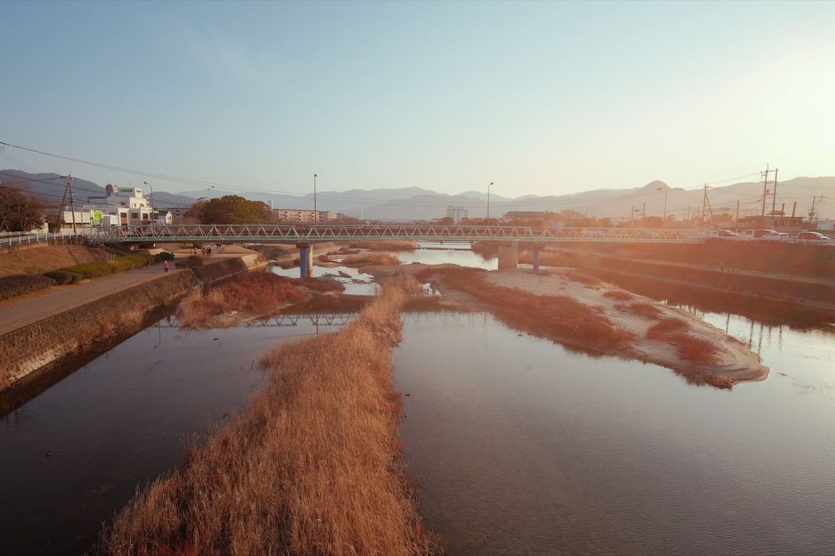 Rokinon 12mm f2 Sample or flaring