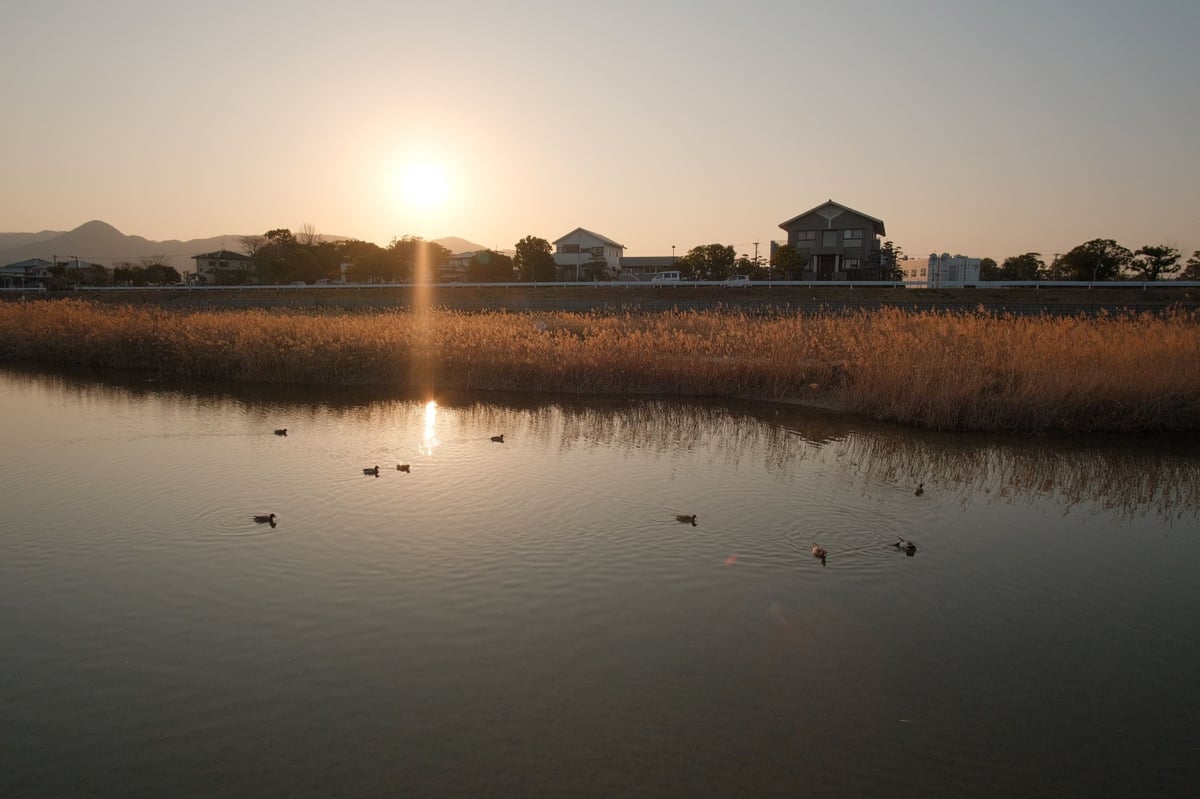 Rokinon 12mm f2 Landscape Photo at a River in Japan