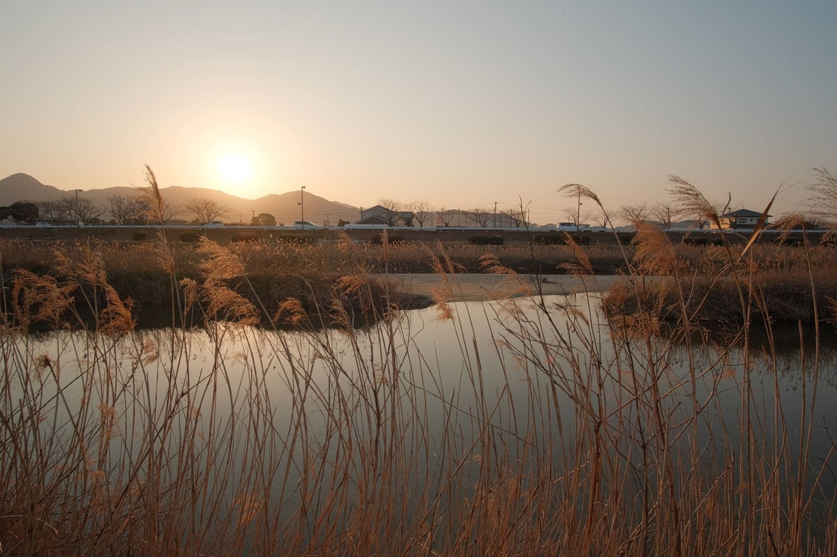 Rokinon 12mm f2 Landscape Photo at a River in Japan