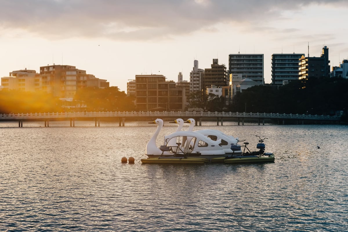 TTArtisan 50mm f1.2 Flaring Sample in Ohori Park