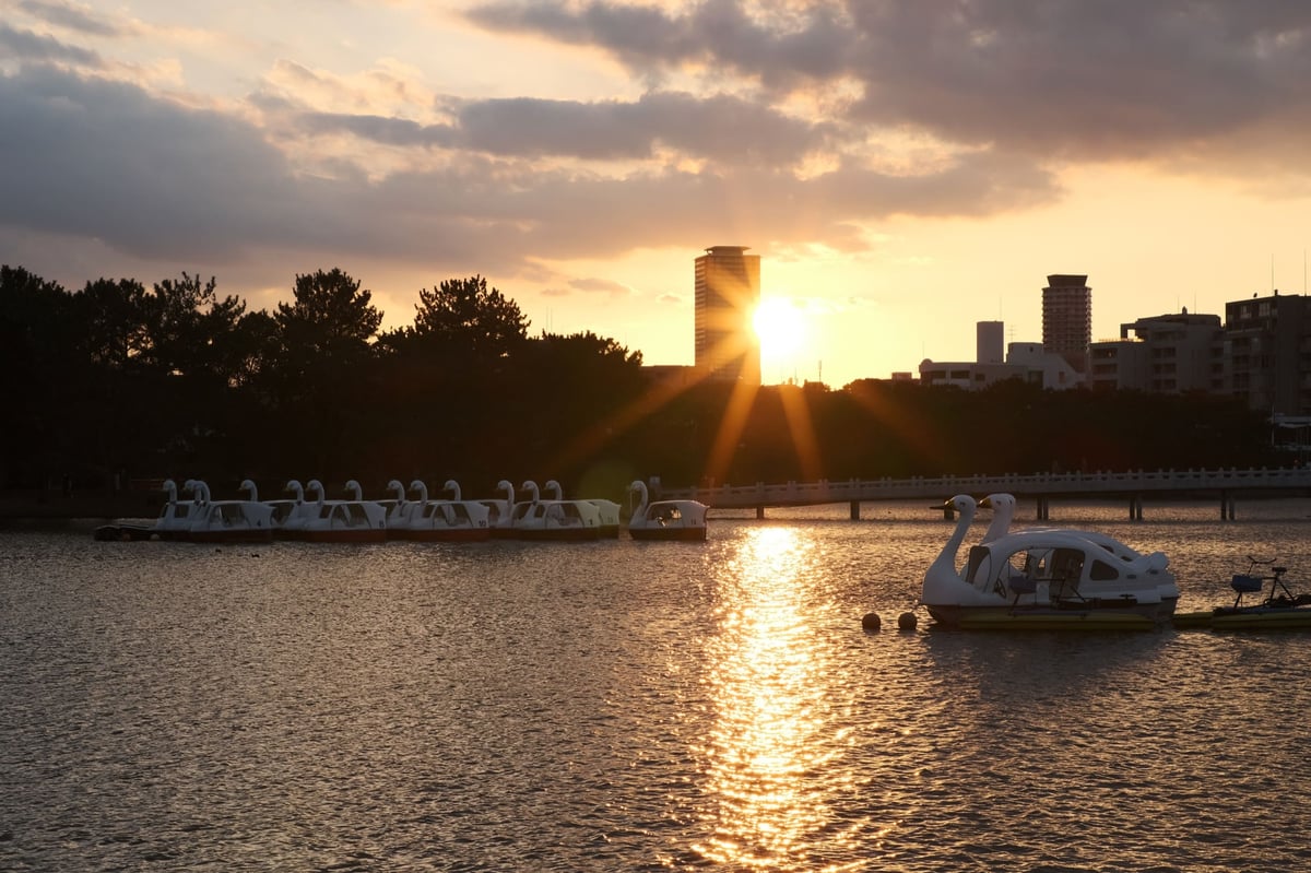 TTArtisan 50mm f1.2 Sun Star Sample