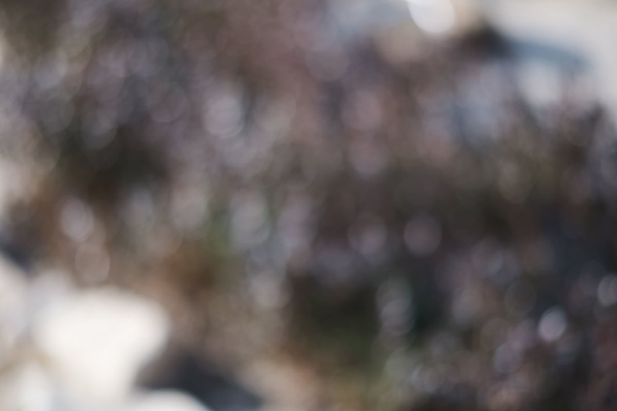 TTArtisan 50mm f1.2 Bokeh Sample