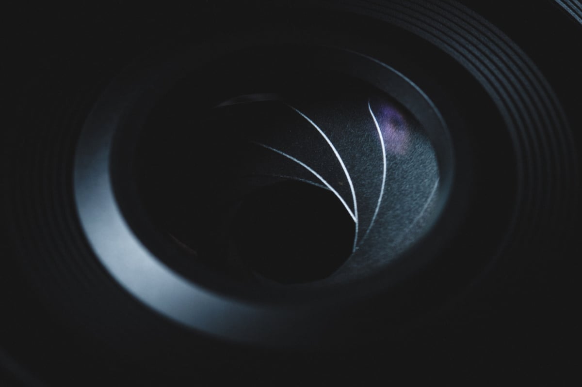 Nikon Z 40mm closup shot of the iris.