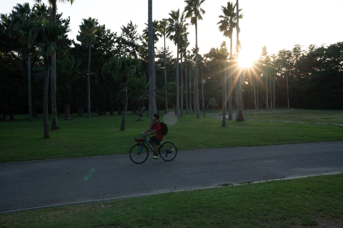 Viltrox 35mm f1.8 Sunstars