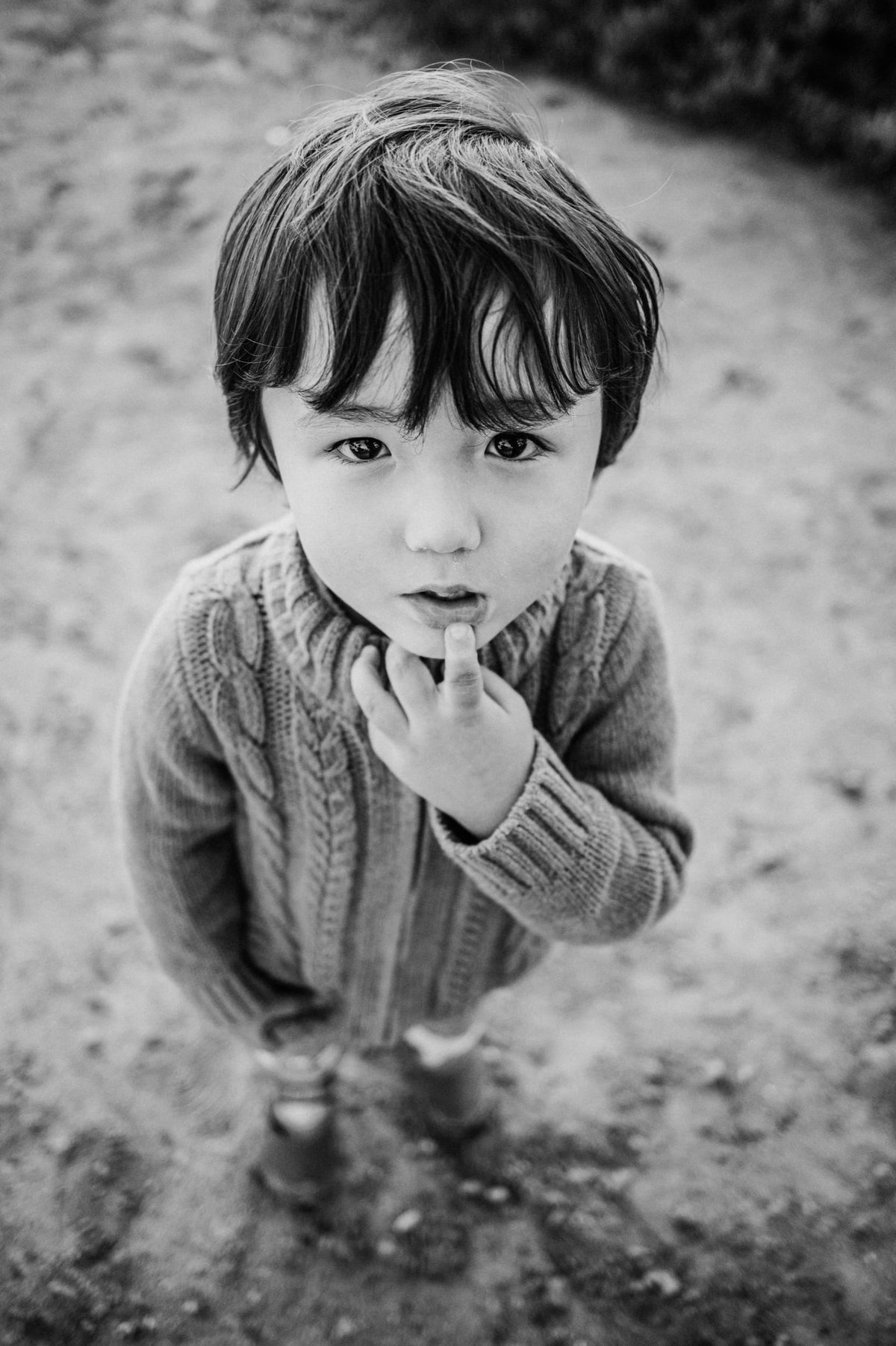 Chattery Bokeh Sample