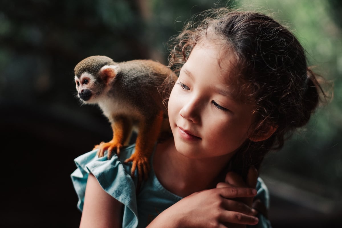 Kipon Ibelux 40mm f0.85 III Review & Sample Photos