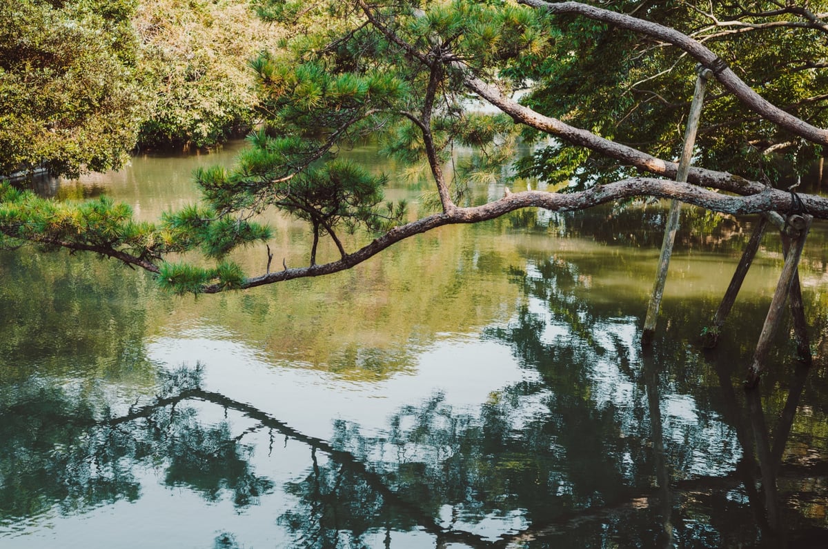 Yanagawa River in Japan