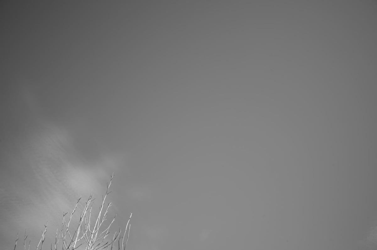 Voigtlander 35mm f2 Black And White Vignetting Sample