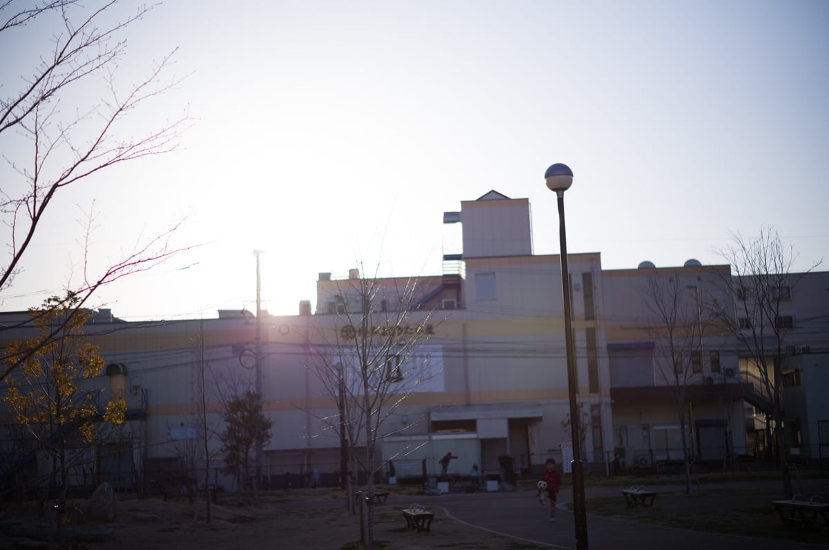 Voigtlander 50mm f1.5 II Flaring Sample