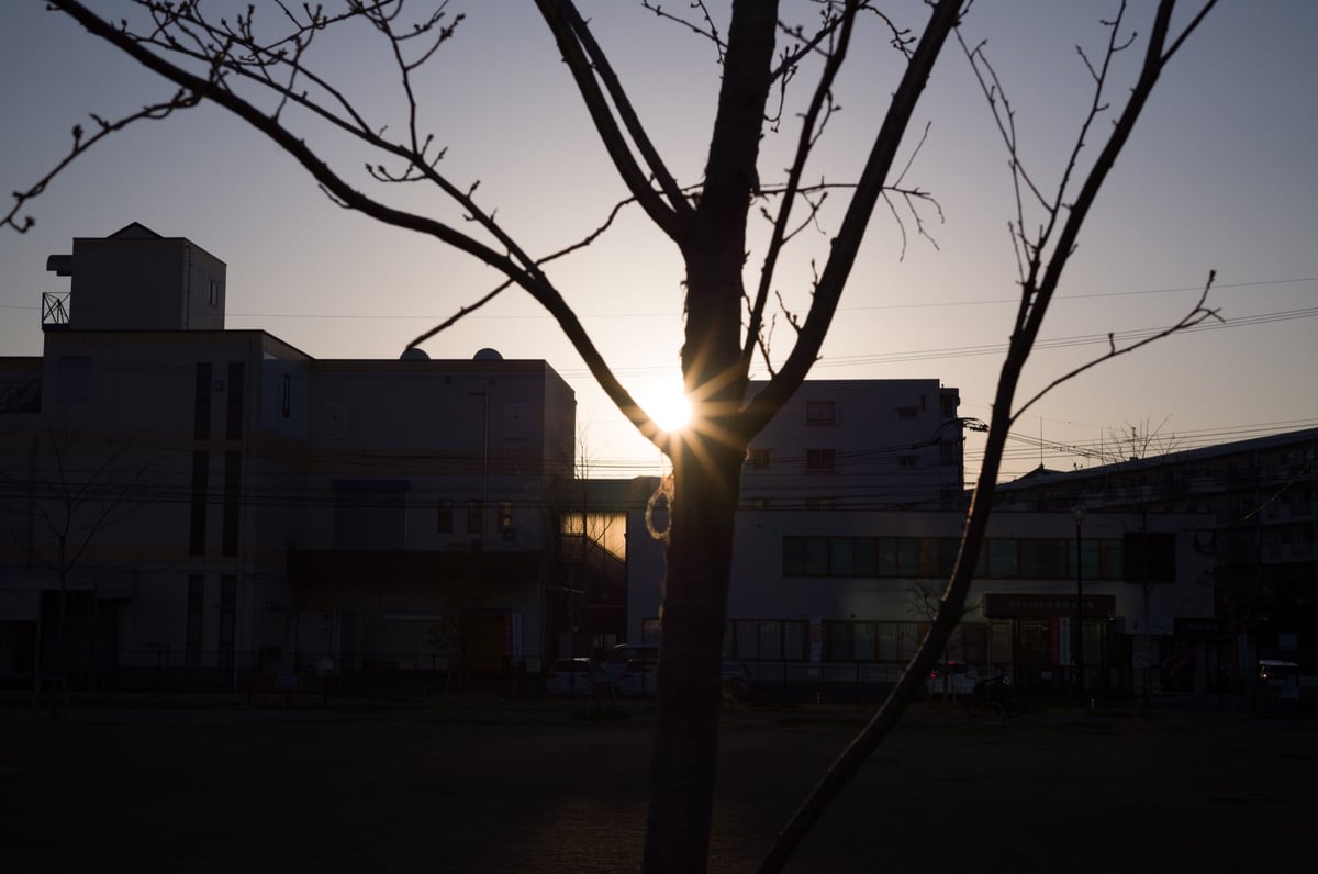 Voigtlander 50mm f1.5 II Sunstars