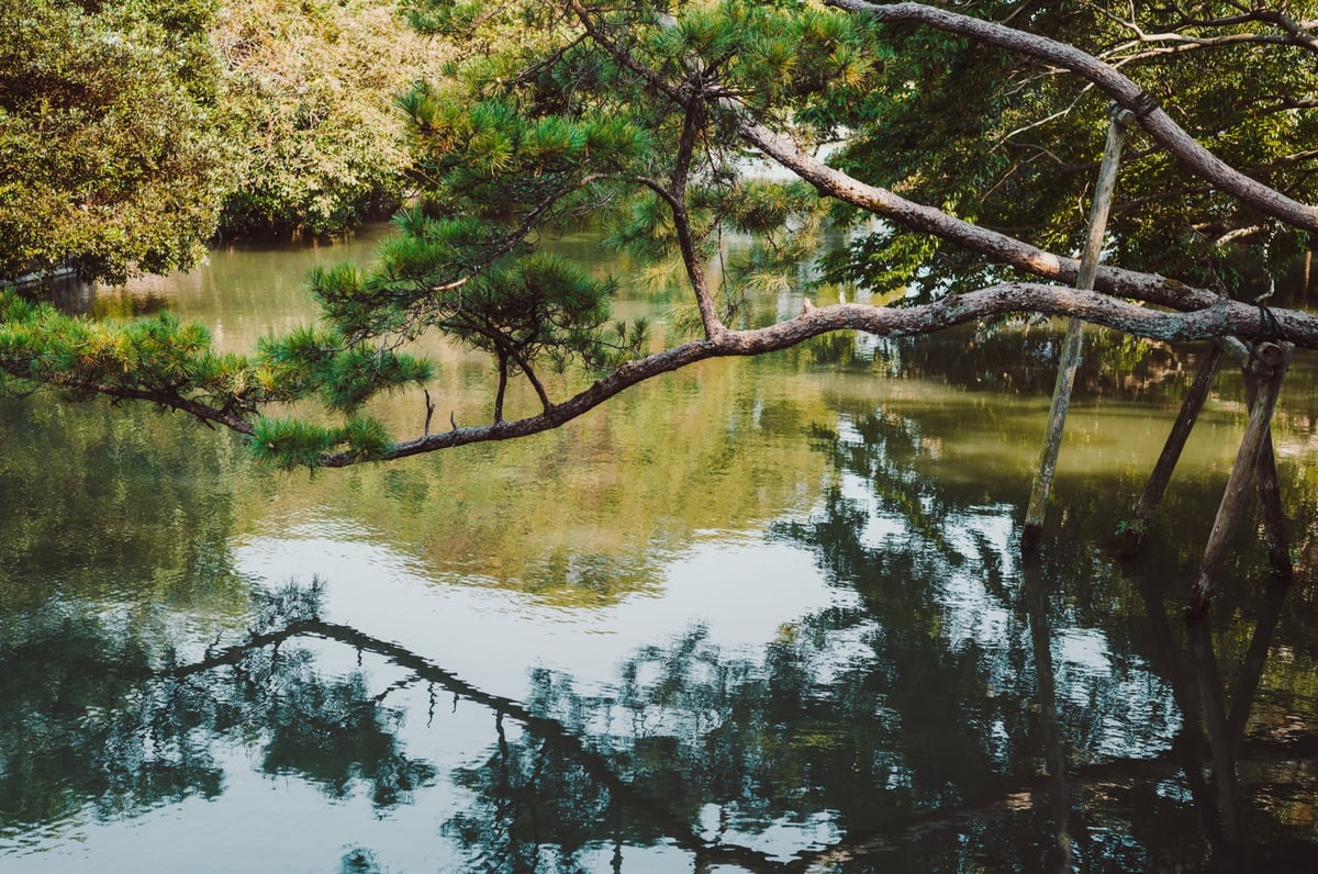 Voigtlander 50mm f1.5 II Landscape