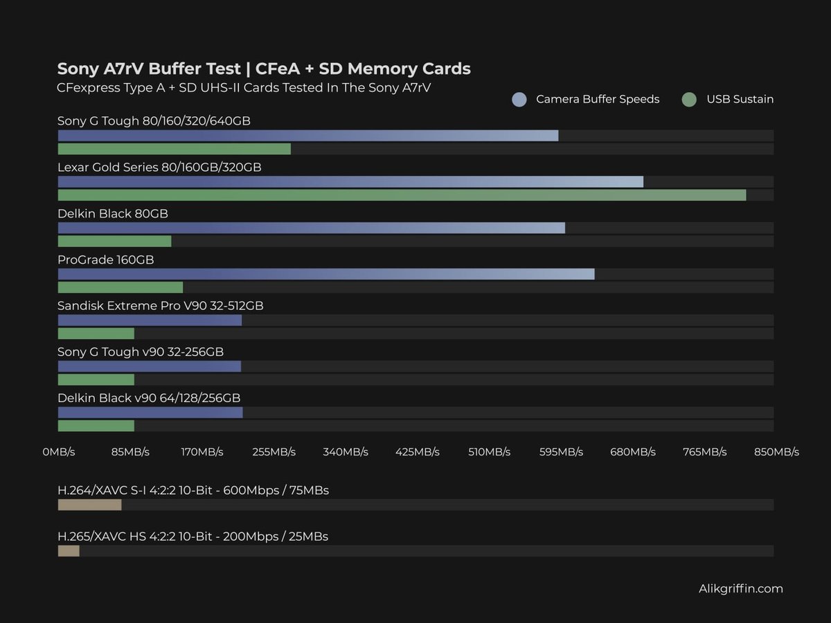 Best Memory Cards for Sony A7rV A Chart That Shows Performance