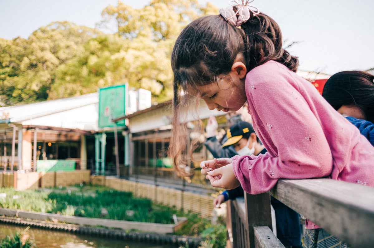 Zeiss 28mm f2.8 Biogon Bokeh Sample