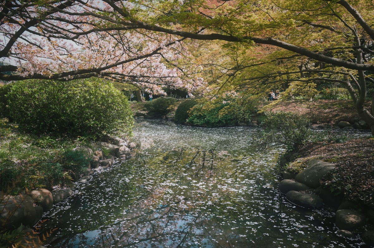 Kyoto Temple + Orton Effect applied in Photoshop.