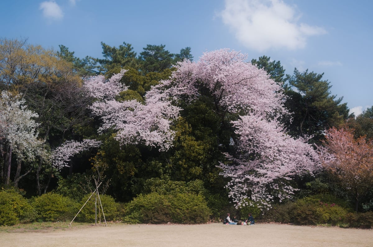 Orton Effect applied in Photoshop.