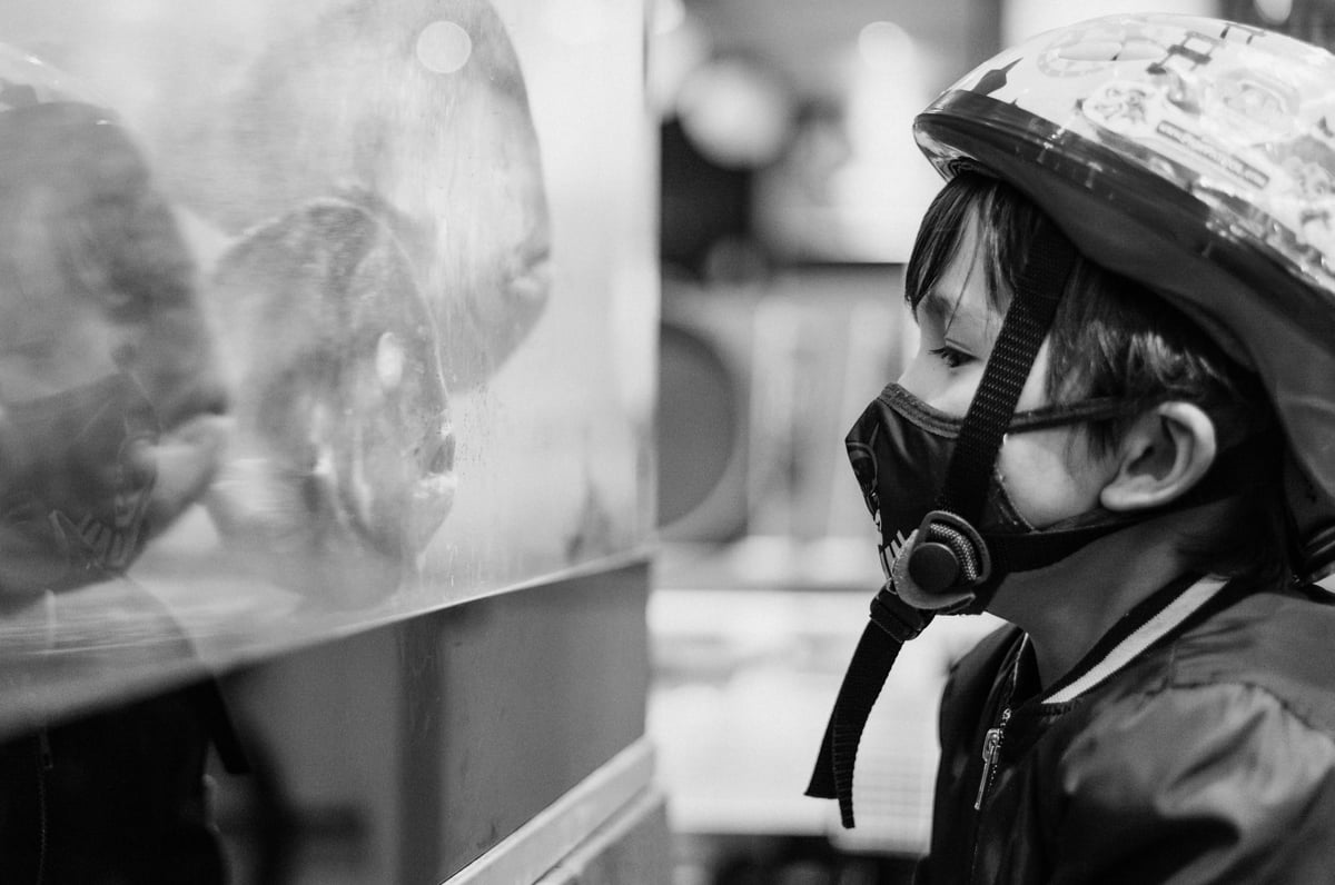 Luka Stairing At Fish