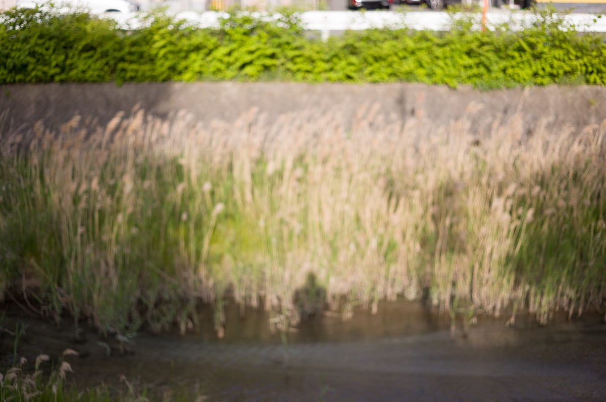 Bokeh Sample 10 Feet Focus @ f2