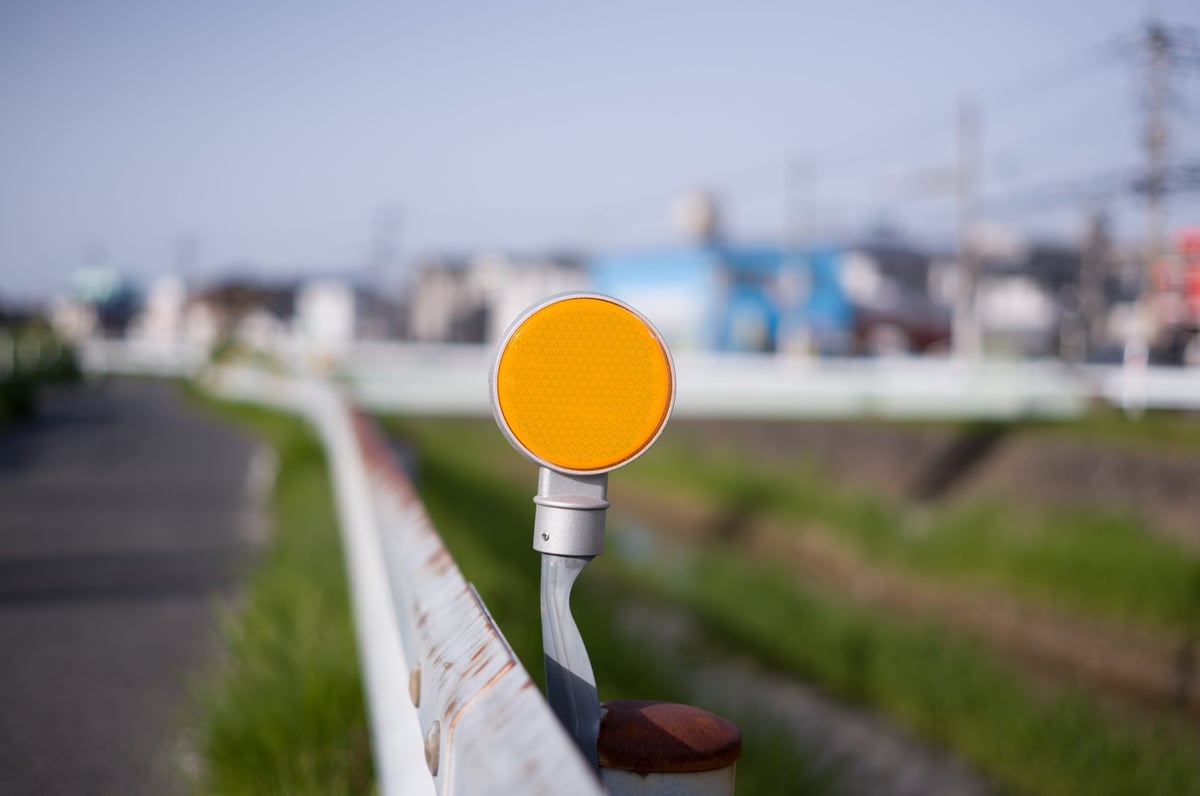 Straight Out Of Camera Samples