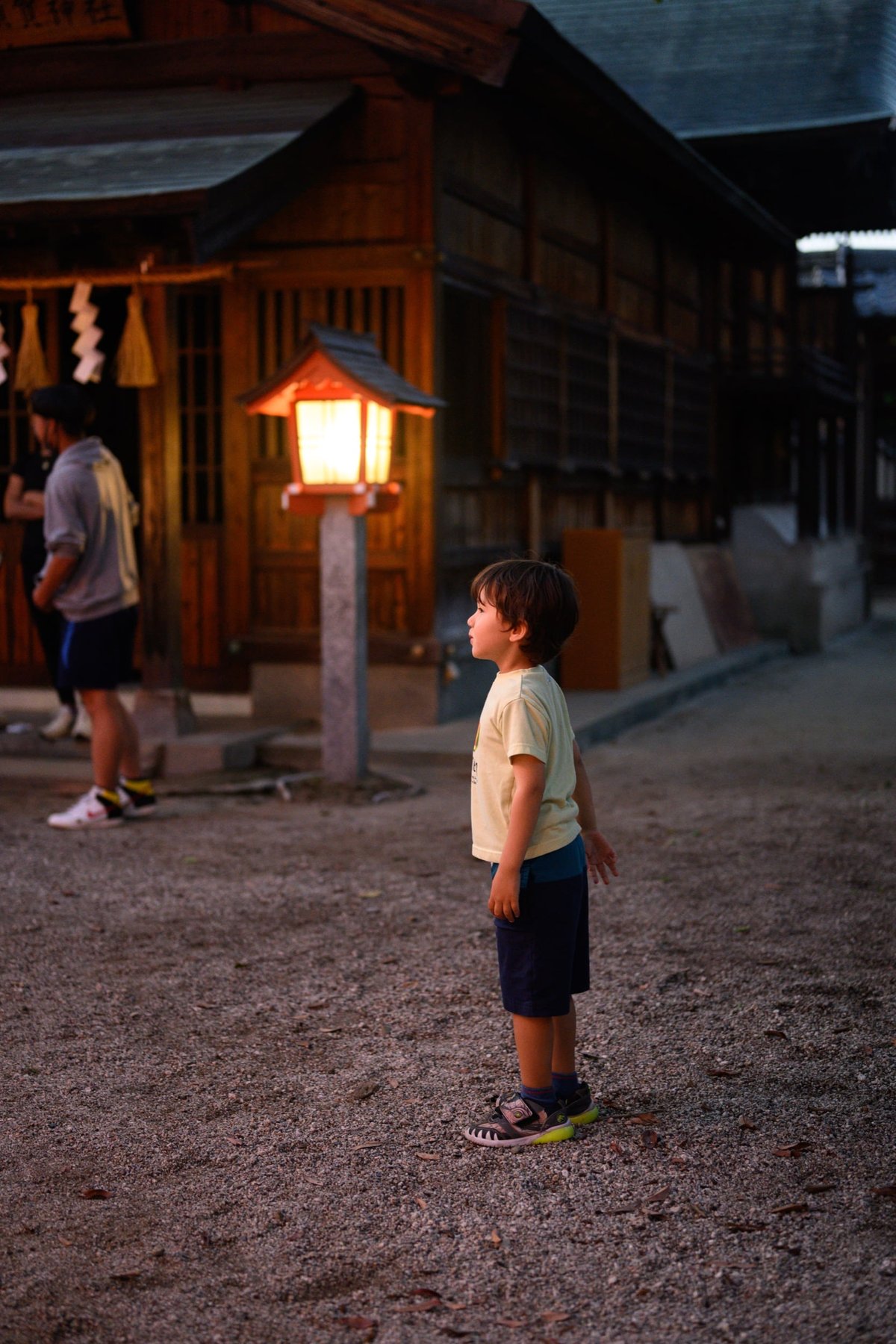 Standard Profile Sample