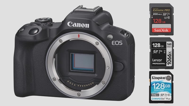 Memory Cards For The Canon R50