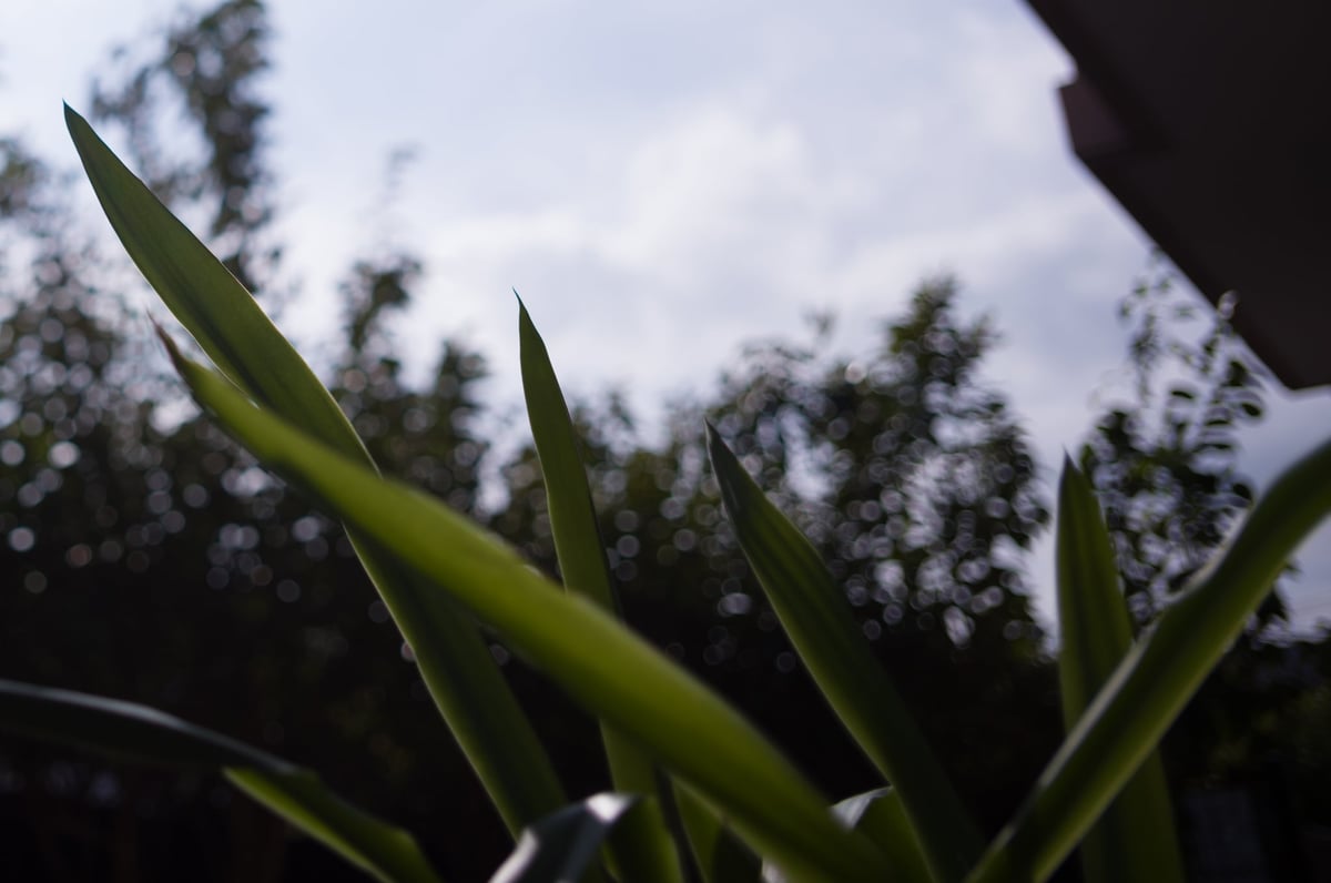 Chromatic Aberration Sample