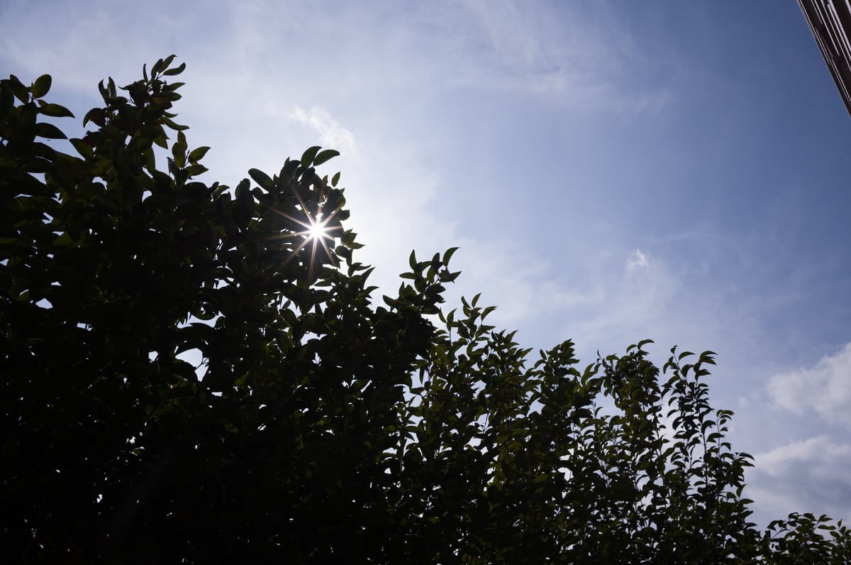 Sample of what a sunstar looks like at f11