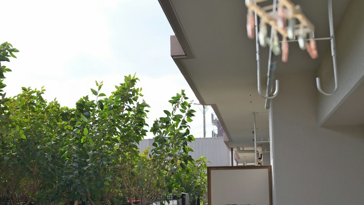 No Filter Sample Image