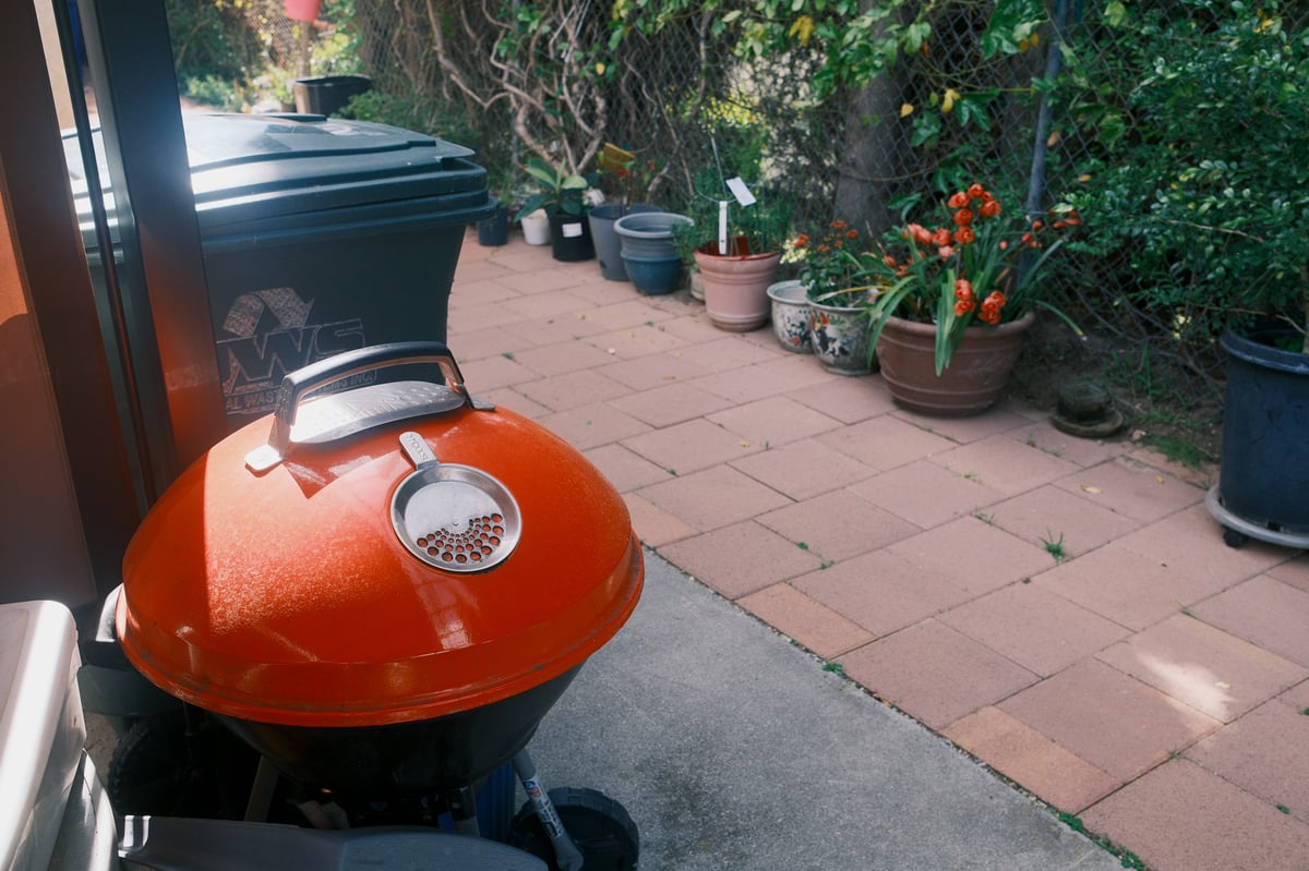 Specular Highlights Bloom Sample In Yard