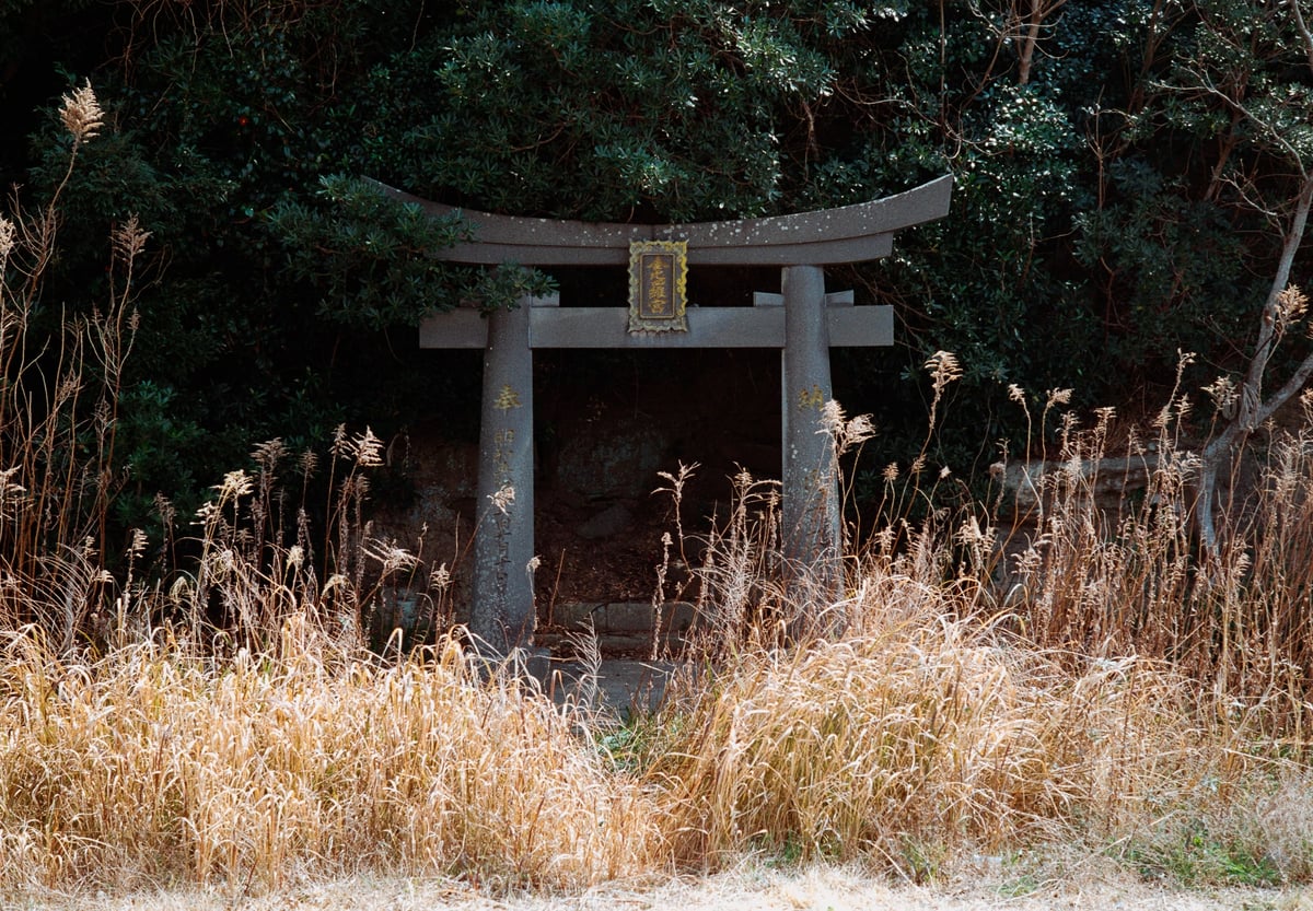 Hidden Torii Film Sample