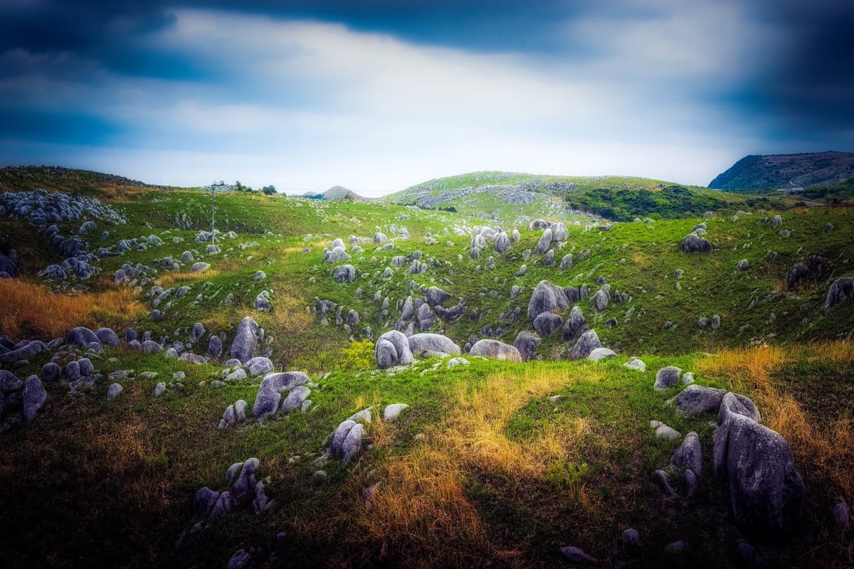 Fukuoka Stone Garden