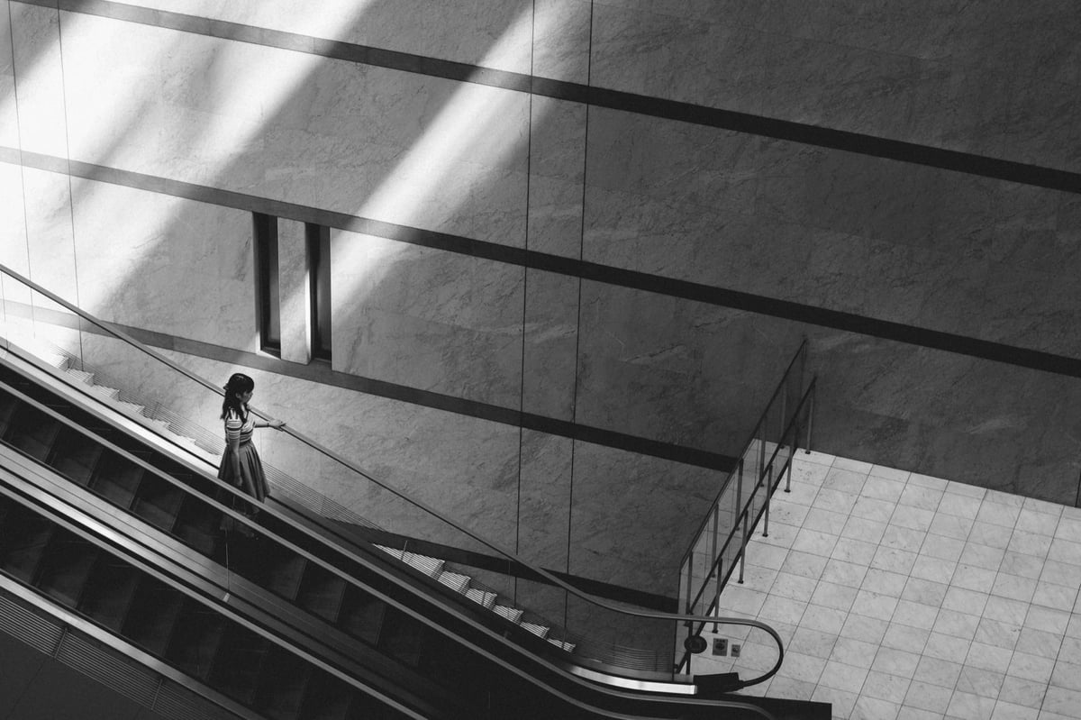 ONO B&W Lightroom Presets