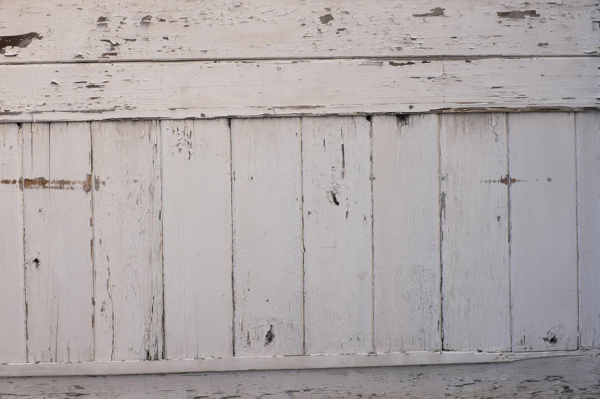 Fujifilm x100T Tele Test