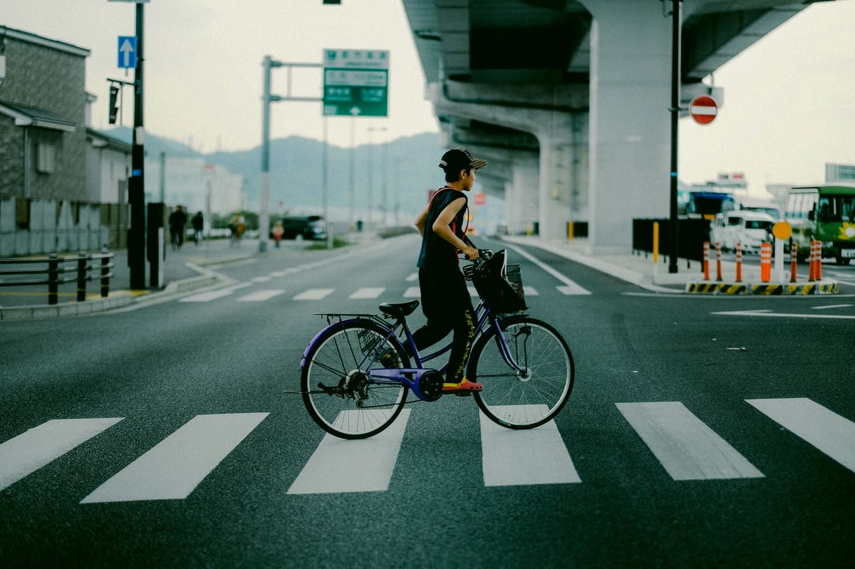 Japan From Inside A Car