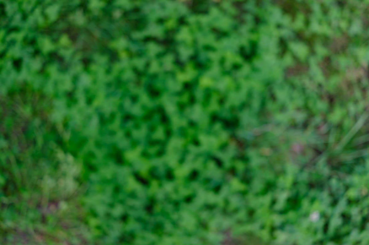 Fujinon 27mm f2.8 Cats Eye Bokeh