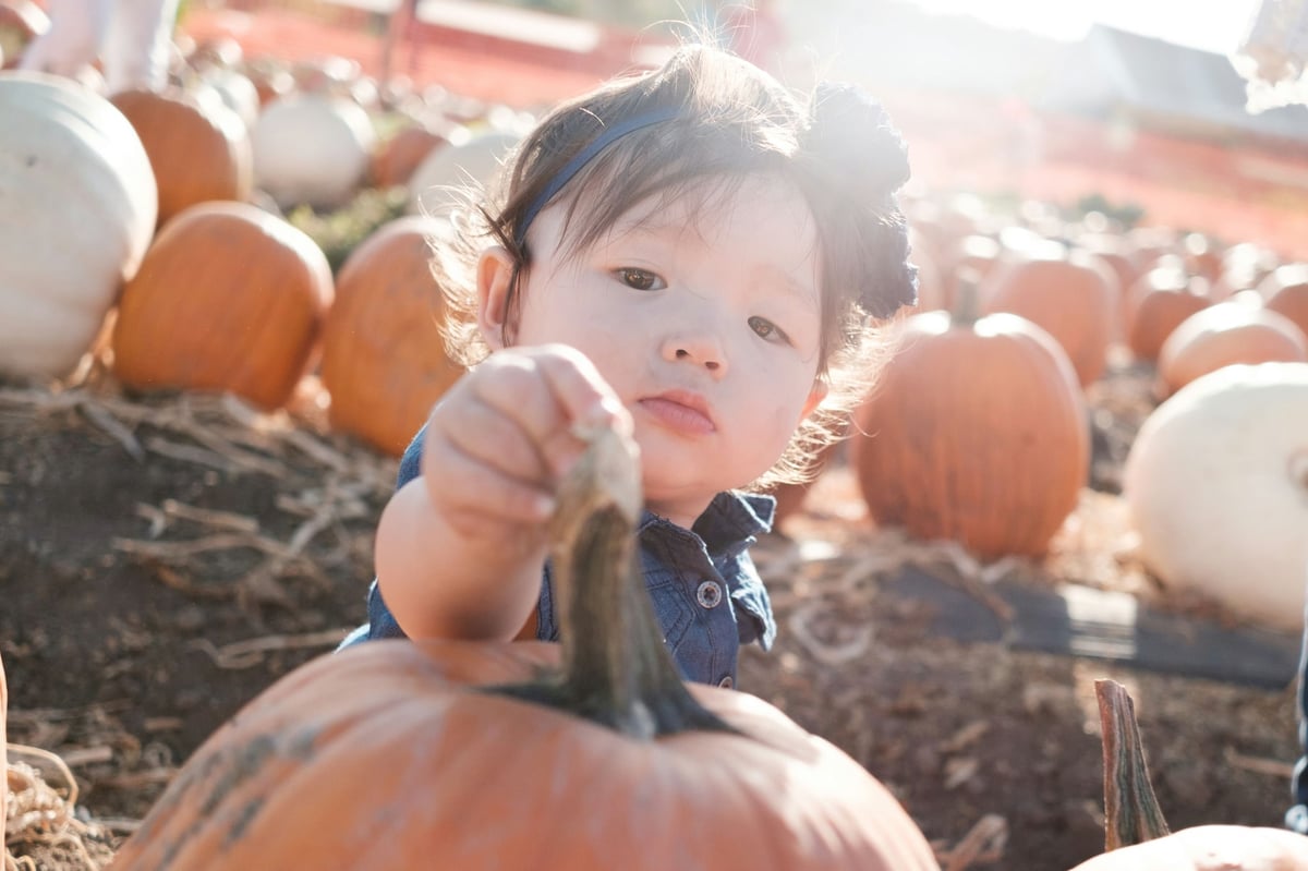 Fujifilm 27mm f2.8 Flaring Sample