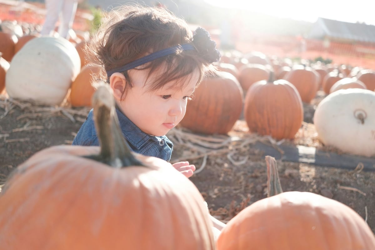 Fujifilm 27mm f2.8 Veiling Flare Sample