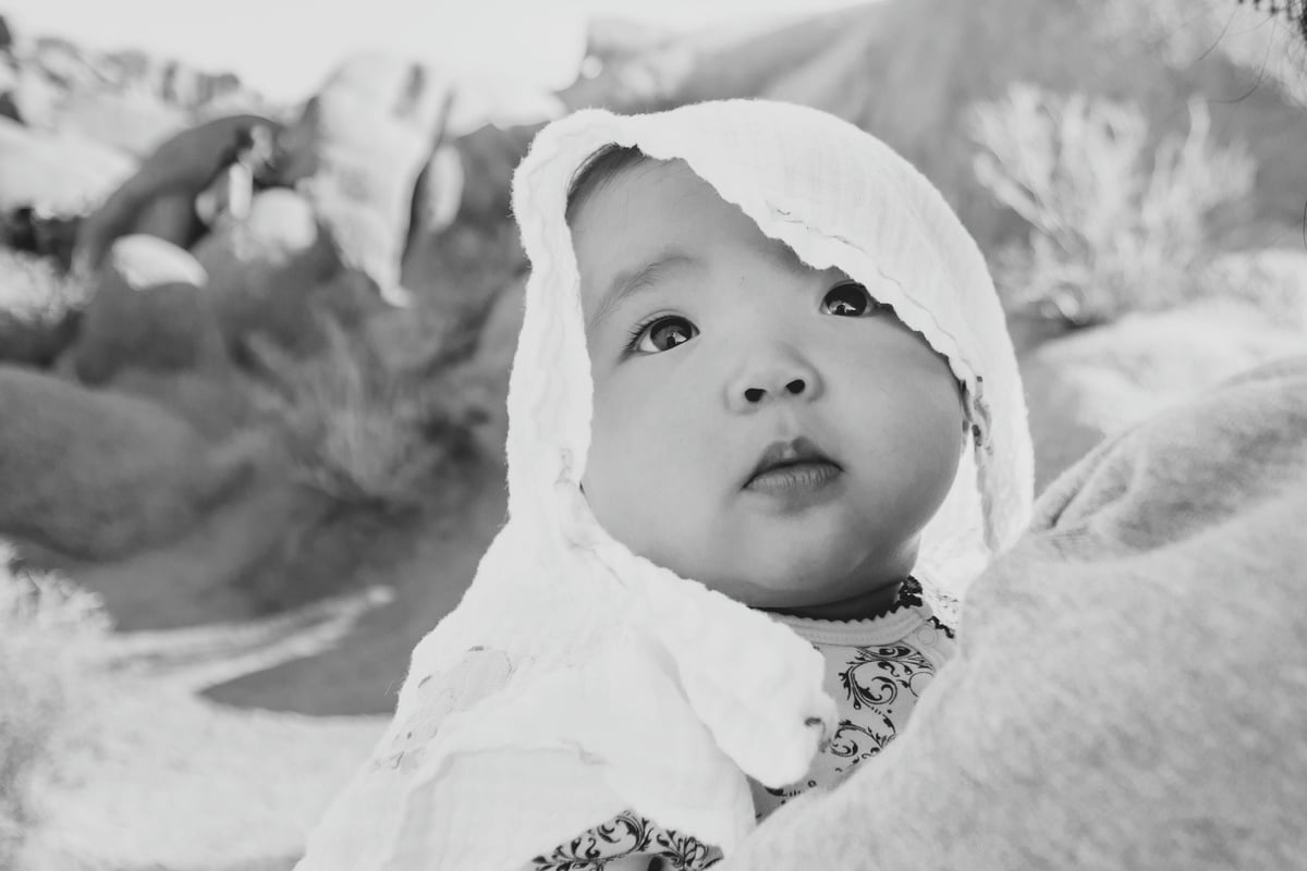 Joshua Tree With Baby Kalina