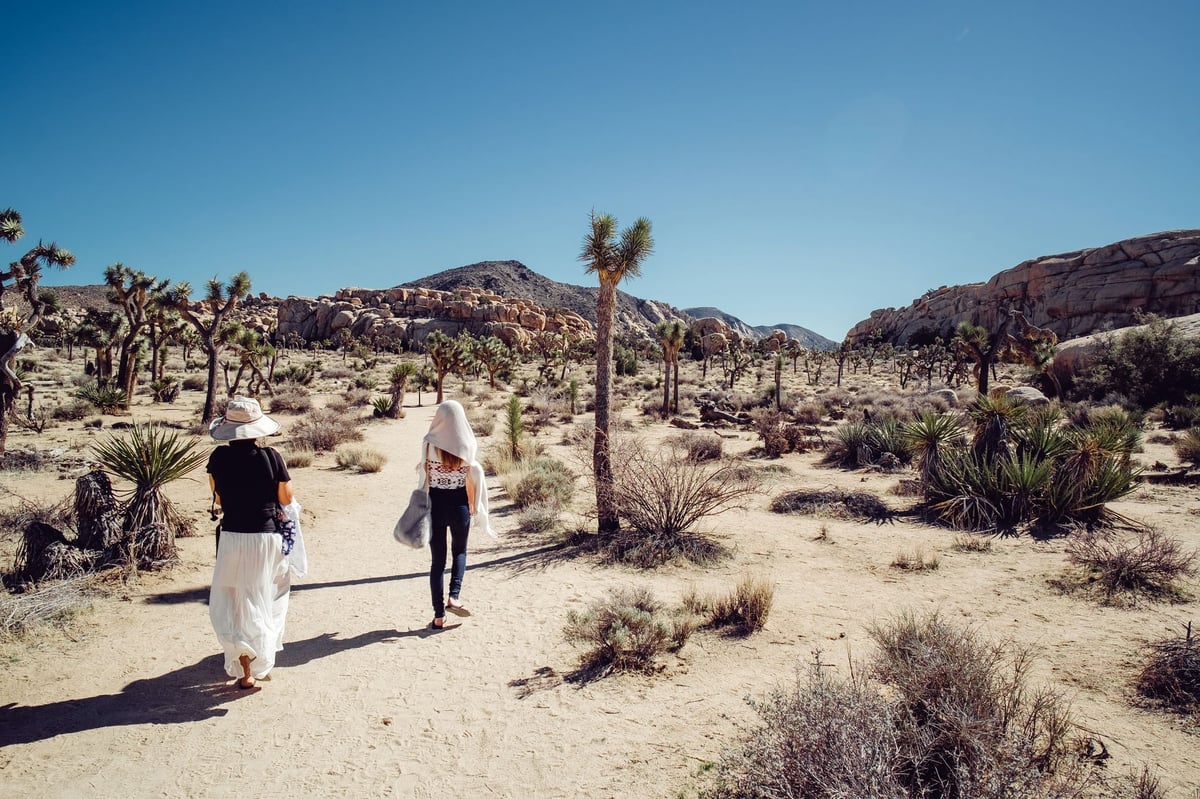 Wandering Through Joshua Tree