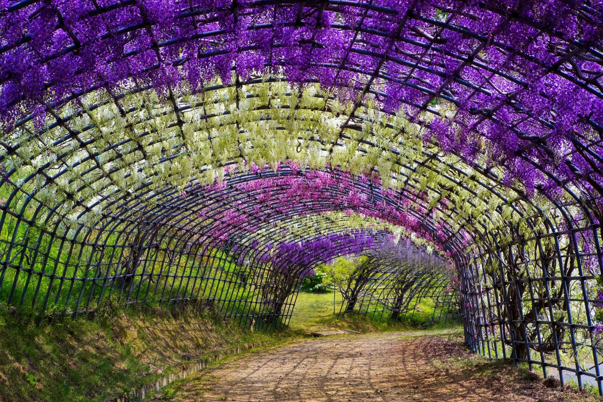 Behind The Shot – The Fuji Tunnel