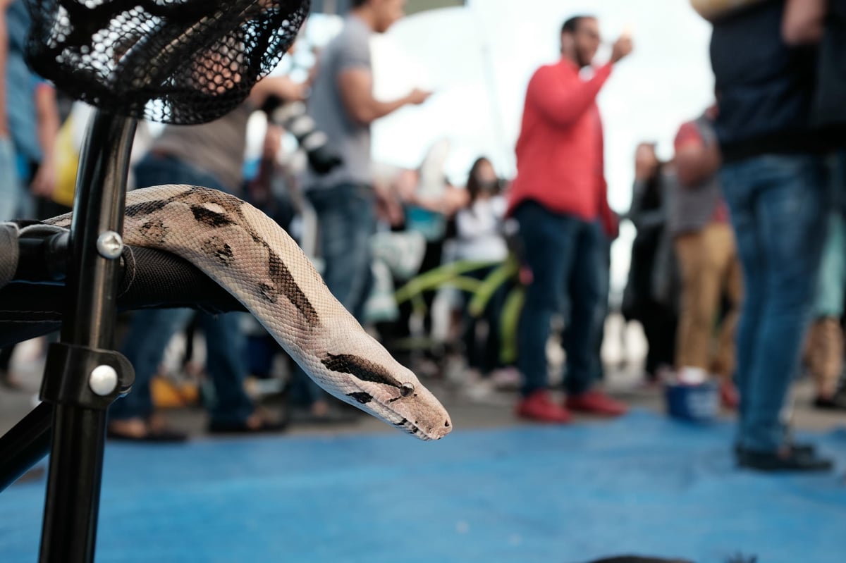 Classic Chrome Lightroom