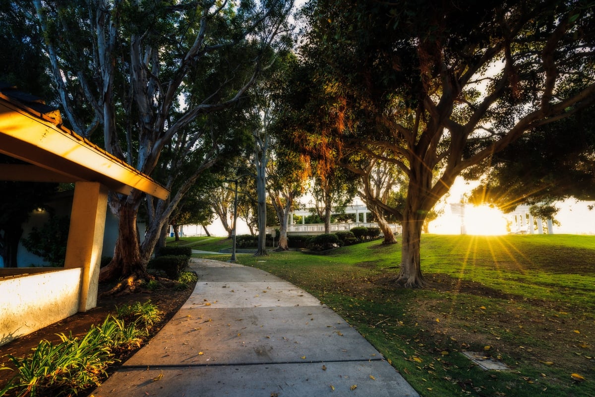 Sony A7rIII Walk Through Park