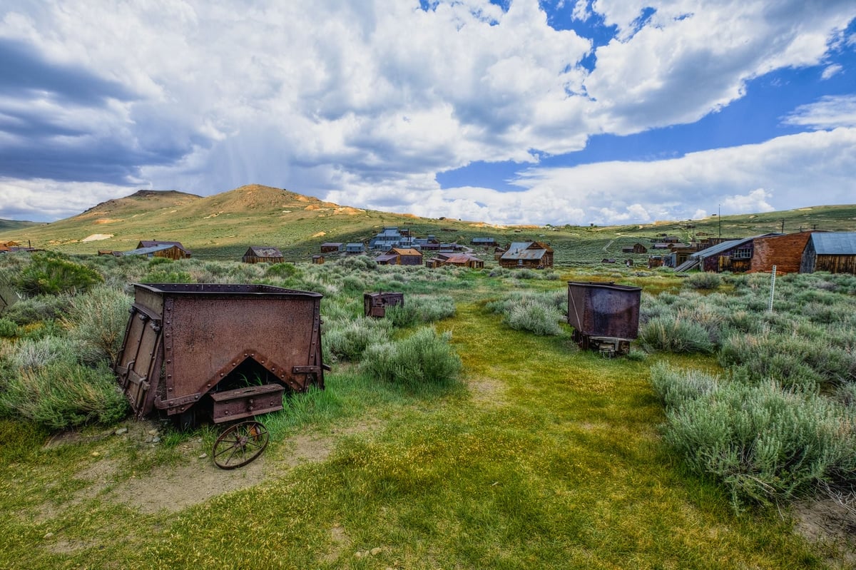 Bodie Fields