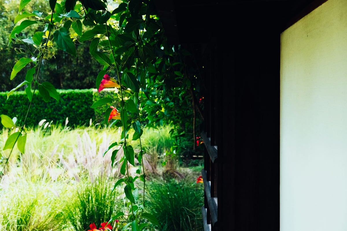 Outside the Schindler House