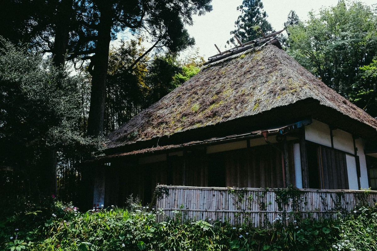 Forests of Japan Japan Wilderness with the Fujifilm X100T