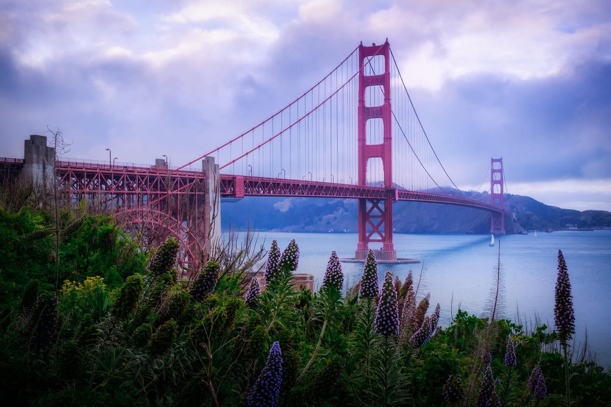Golden Gate Flowers