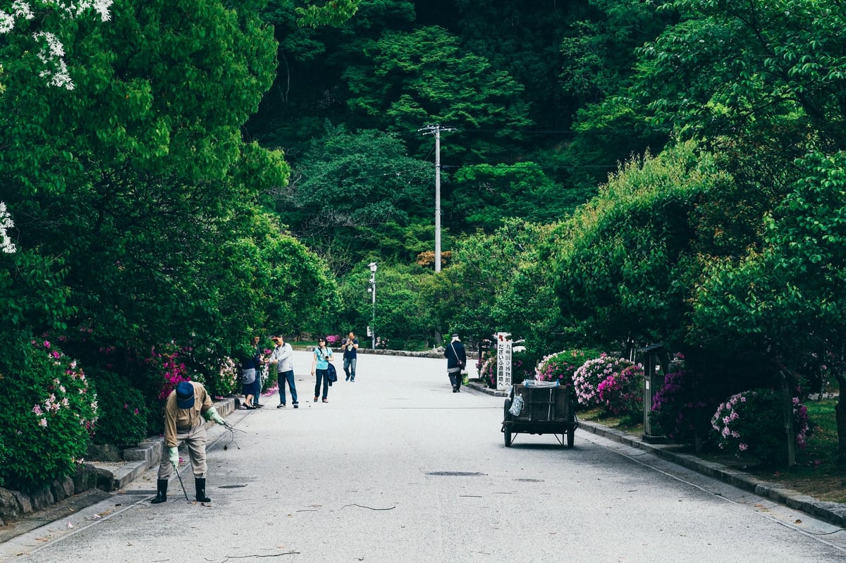 Dazaifu Streets